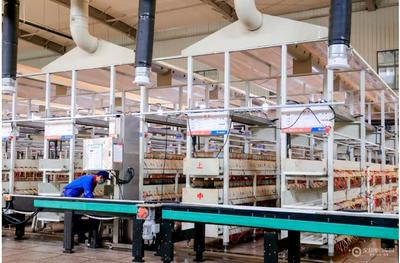 探尋天能&ldquo;新質(zhì)&rdquo;之美,看天能如何引領(lǐng)行業(yè)&ldquo;智造進(jìn)階&rdquo;!