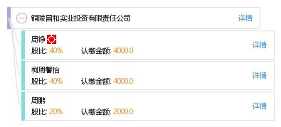 銅陵昌和實業投資有限責任公司