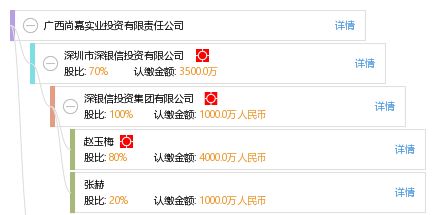 廣西尚嘉實業投資有限責任公司