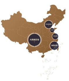crs峰會 梁川 三盛集團常務副總裁 三盛資本總裁 打卡中國家庭美好生活