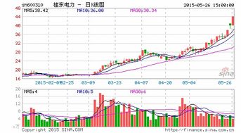 桂東電力 實業投資一地雞毛 股權激勵難掩隱憂