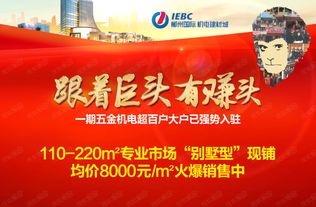 中華建設(shè)機(jī)械商會(huì)一行到郴州國際考察參觀