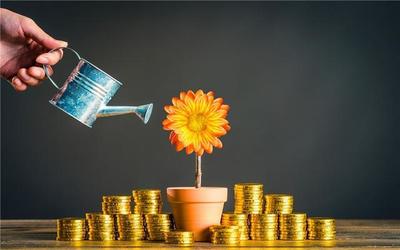 干什么實(shí)業(yè)比較掙錢?揭秘最賺錢的實(shí)業(yè)投資領(lǐng)域